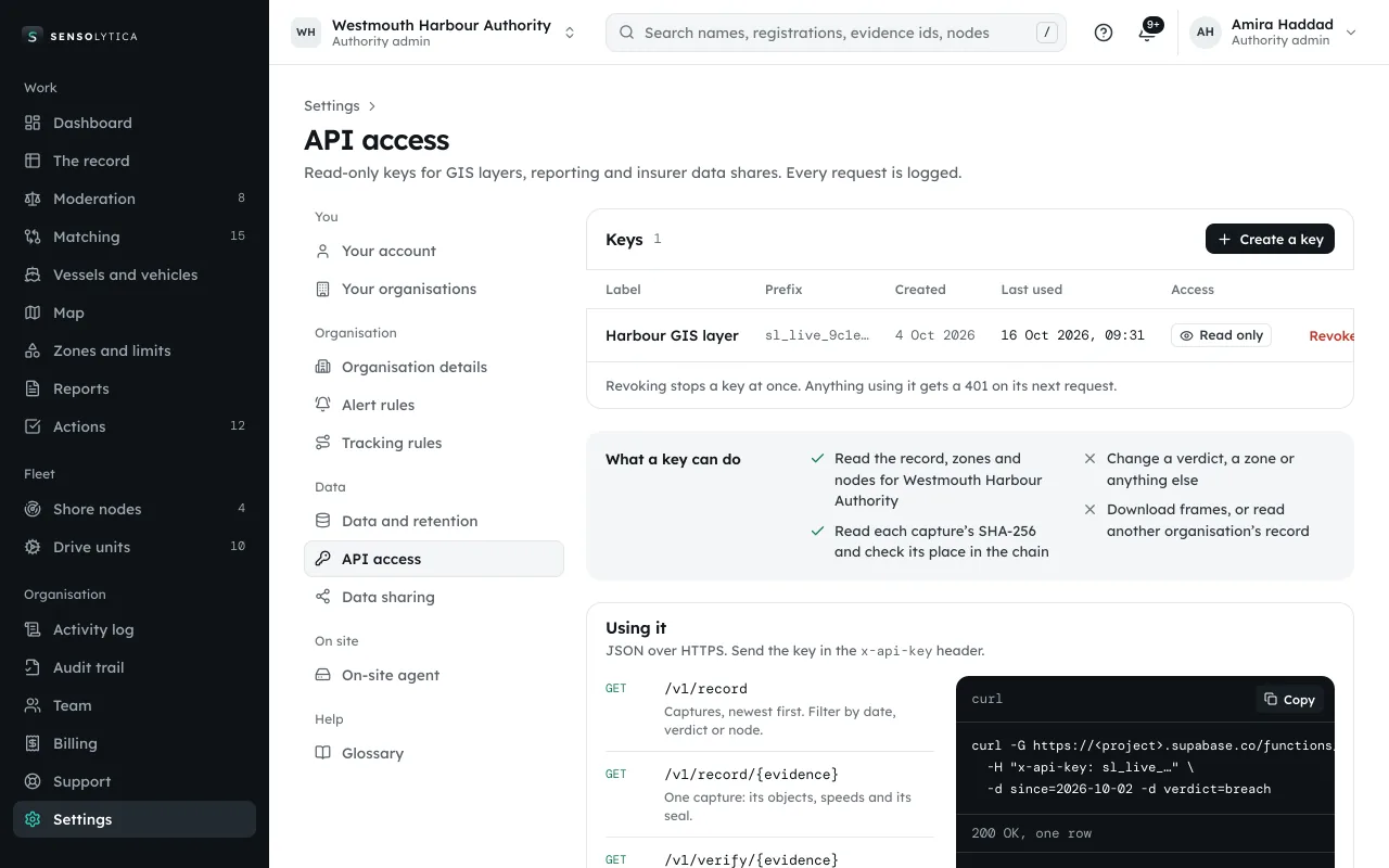 API access: read-only keys, their scopes and how to use them